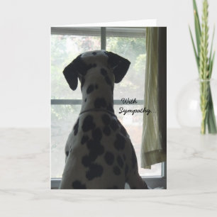 Tarjeta de simpatía - Pérdida de perro