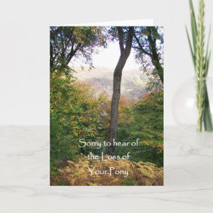 Tarjeta de simpatía, Pérdida de Pony