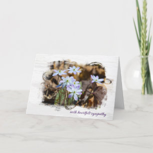 Tarjeta de simpatía por flores silvestres