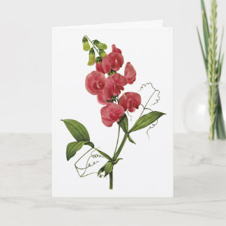 Tarjeta de simpatía por la acuarela de la dulce pe