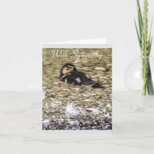 Tarjeta de simpatía por la naturaleza del río Duck