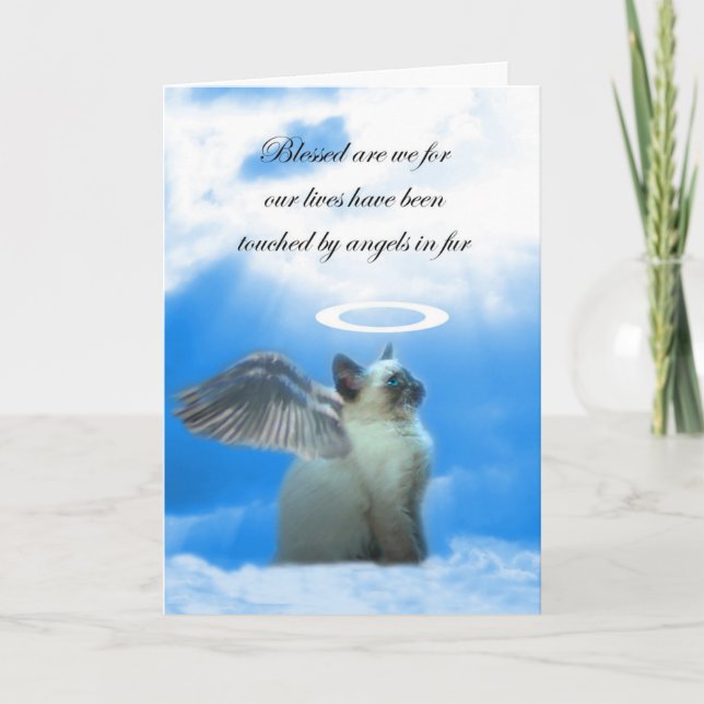Tarjeta de simpatía por pérdida de gato de Angel K (Anverso)