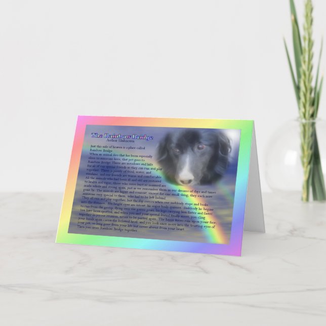Tarjeta de simpatía por pérdida de Mascota de poem (Anverso)