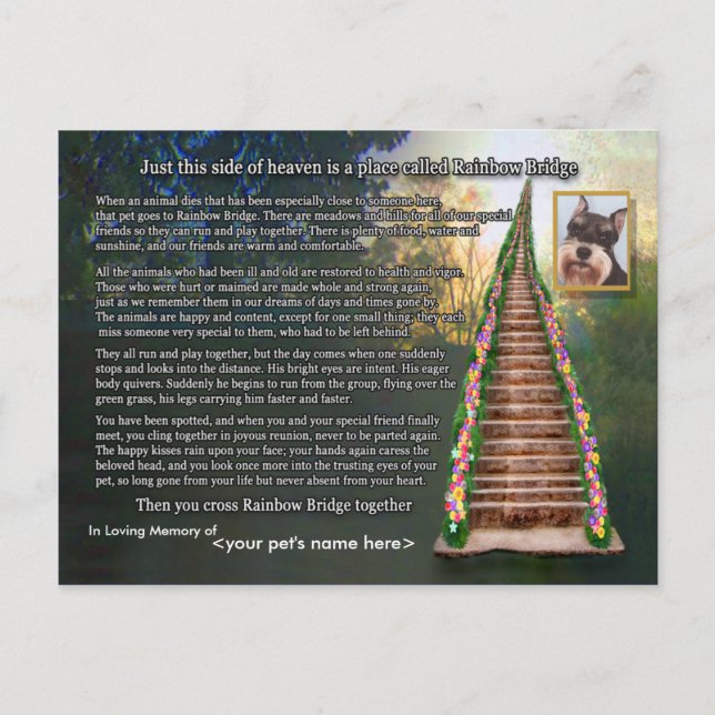 Tarjeta de simpatía por pérdida de Mascota de poem (Anverso)