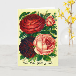 Tarjeta de simpatía que el Rosa crece más allá de