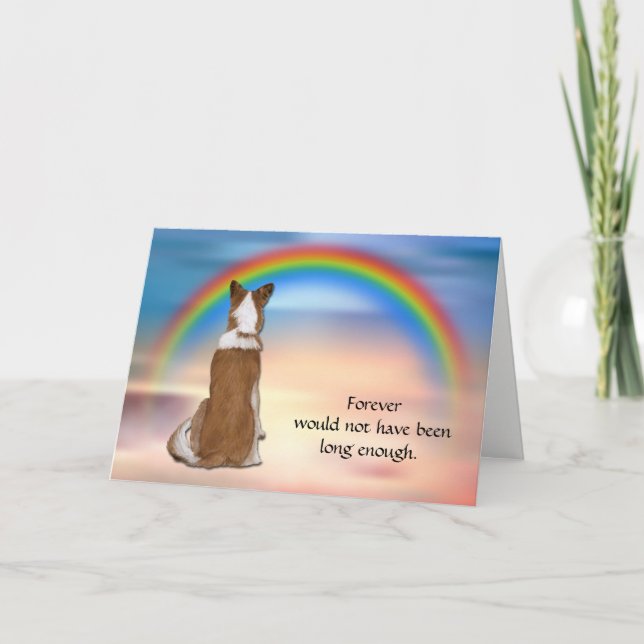 Tarjeta de simpatía Rainbow de Red Border Collie (Anverso)