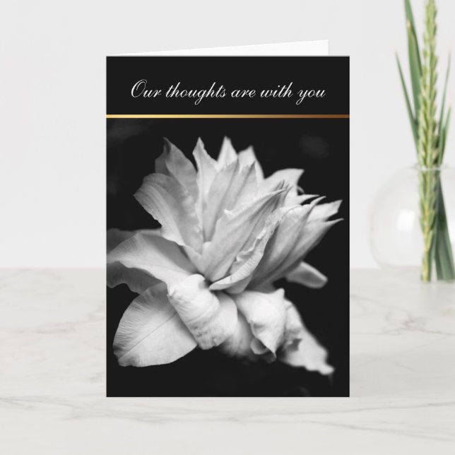Tarjeta de simpatía White Clematis 1 Condolencias (Anverso)