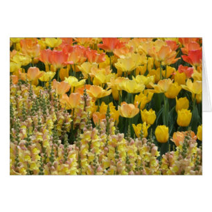 Tarjeta de Snapdragons