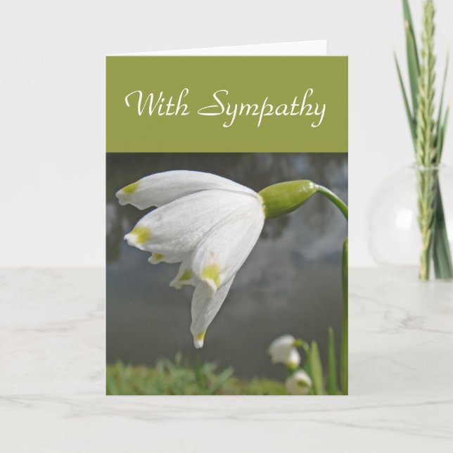 Tarjeta de Snowdrop (Anverso)