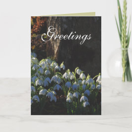 Tarjeta de Snowdrop