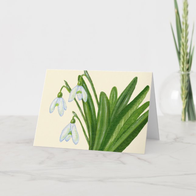 Tarjeta de Snowdrops (Anverso)