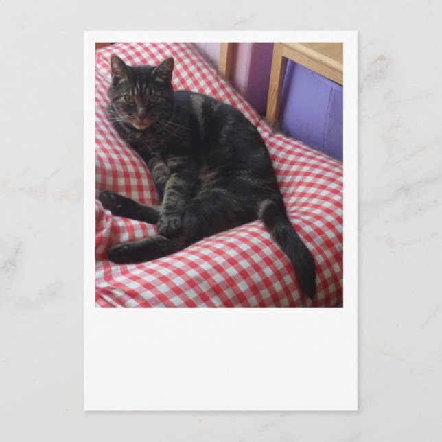 Tarjeta de Sobre de Dave Lindo (Anverso)