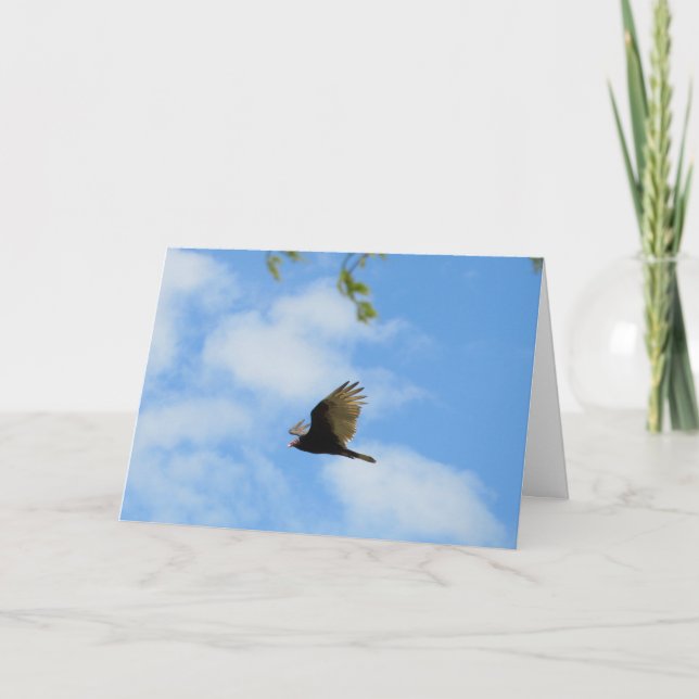 Tarjeta de solidaridad #1 "Spirit Hill Eagle" (Anverso)