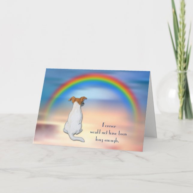 Tarjeta de solidaridad Jack Russell Terrier Rainbo (Anverso)