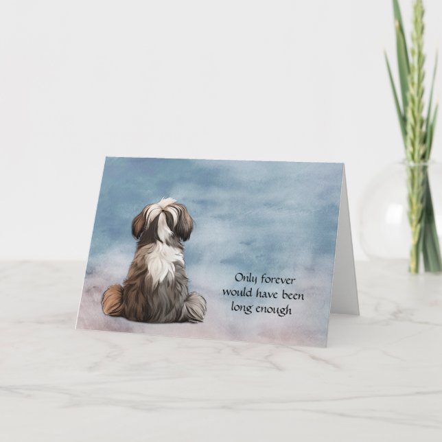 Tarjeta de solidaridad Shih Tzu Perg Perdida (Anverso)