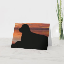 Tarjeta de solidaridad Sunset de Terranova