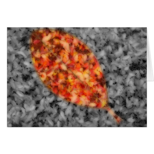 Tarjeta de sombras brillantes (Anverso (Horizontal))