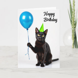 Tarjeta de sombrero de fiesta de gato de terciopel