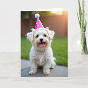 Tarjeta de sombrero de fiesta para mascotas dulces