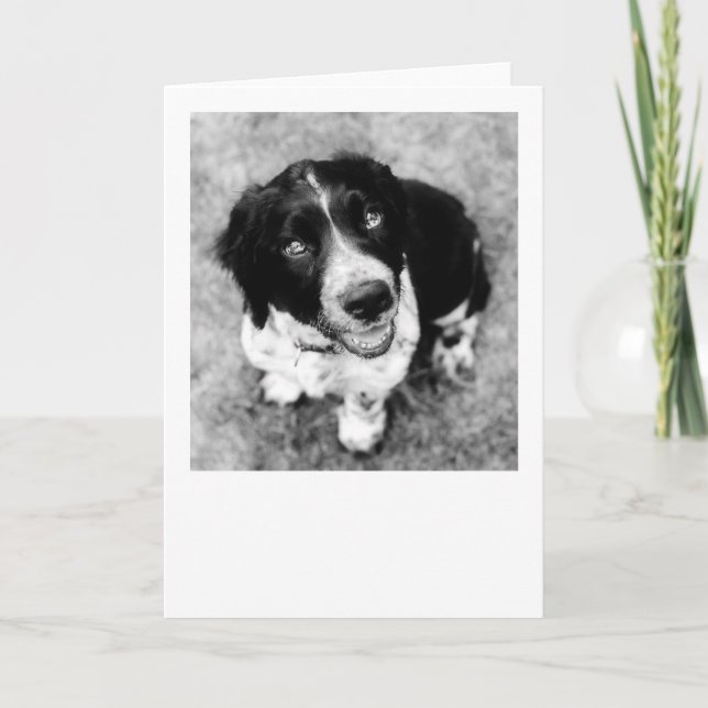 Tarjeta de sonrisas Ike (Anverso)