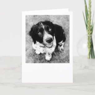 Tarjeta de sonrisas Ike