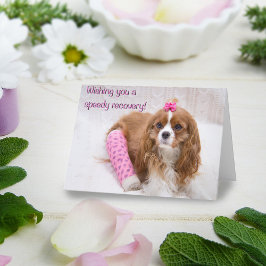 Tarjeta de Spaniel Deseándote una Rápida Recuperac