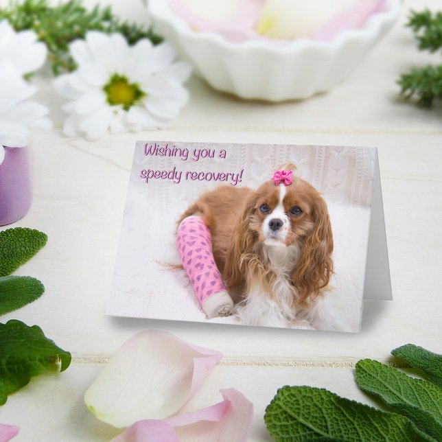 Tarjeta de Spaniel Deseándote una Rápida Recuperac (Subido por el creador)