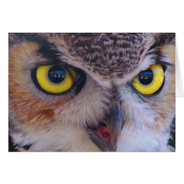 Tarjeta de Sr. Wilson (Anverso (Horizontal))