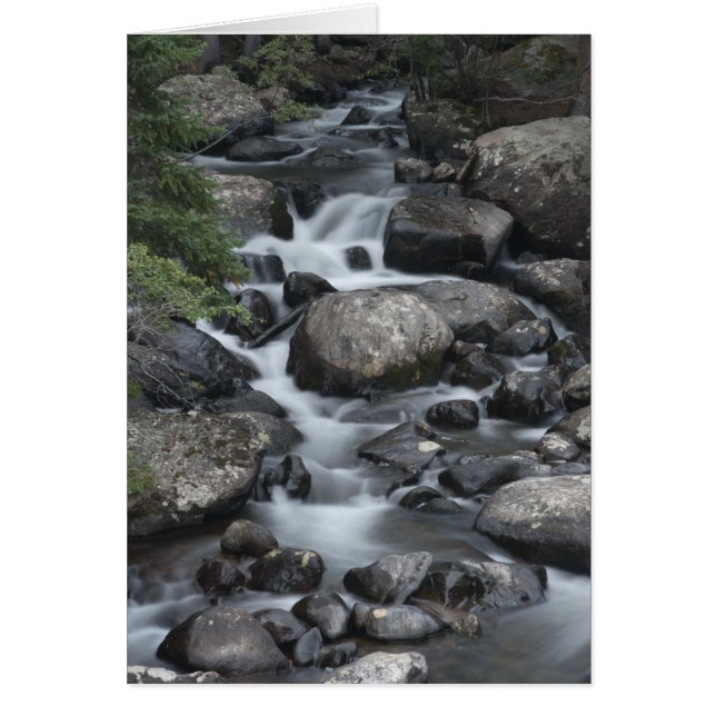 Tarjeta de Stream del Parque Nacional de las Monta (Frente)