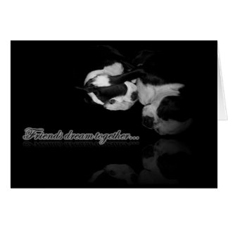 Tarjeta de sueños de Boston Terrier