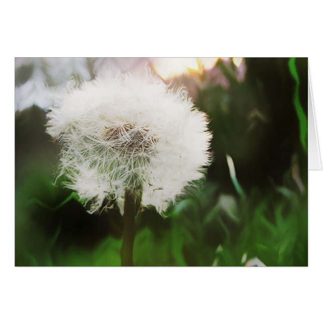 tarjeta de sueños de dandy (Anverso (Horizontal))