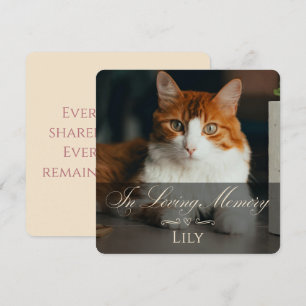 Tarjeta de Súplica por Pérdida de Gato con Foto y 