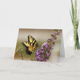Tarjeta de Swallowtail del tigre