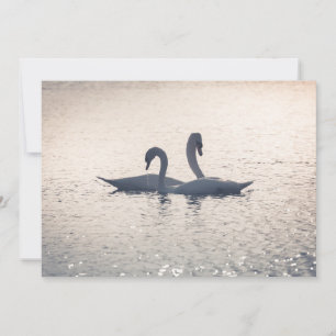 Tarjeta de Swans de Correos