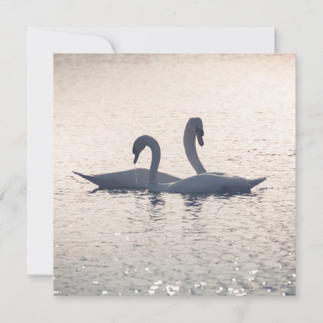 Tarjeta de Swans de Correos (Anverso)