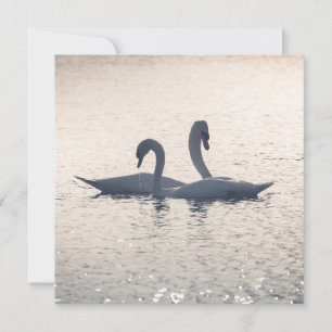 Tarjeta de Swans de Correos