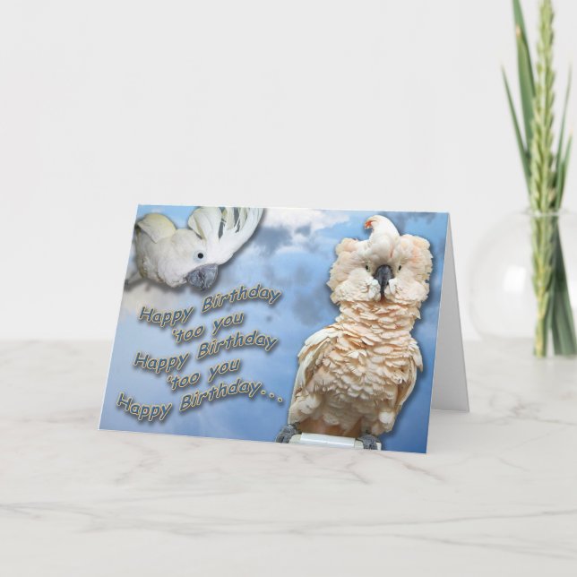 Tarjeta De 'también de nosotros (Anverso)