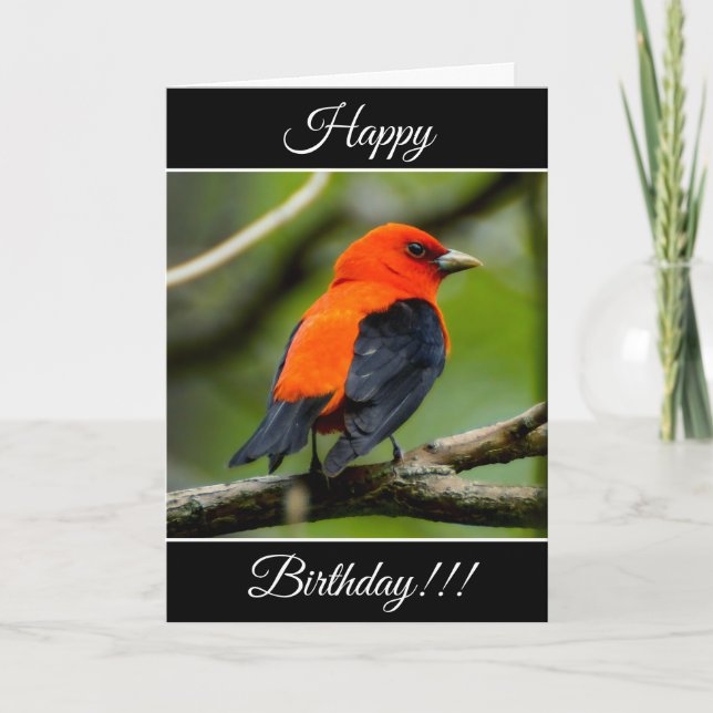 Tarjeta de Tanager de Scarlet Feliz Cumpleaños Per (Anverso)
