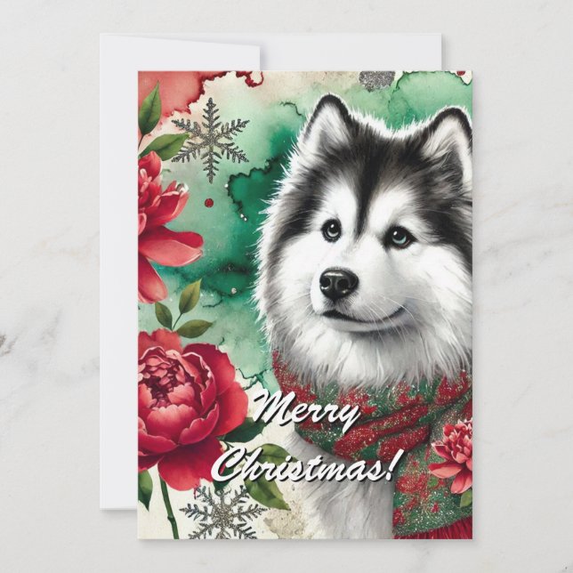 Tarjeta de temporada de Navidad Husky Christmas Dr (Anverso)