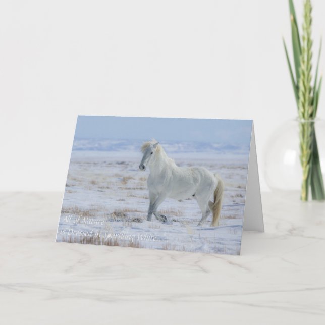 Tarjeta de temporada Wild Mustang (Anverso)