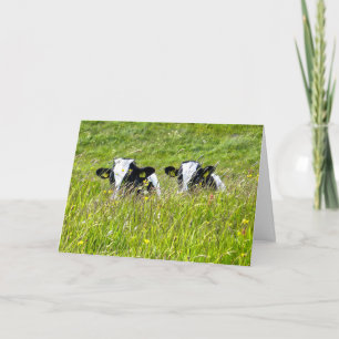 Tarjeta de ternera Holstein