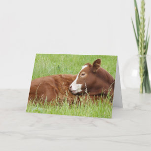 Tarjeta de ternera somnolienta
