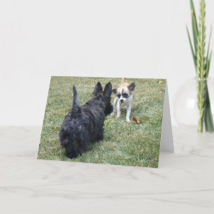Tarjeta de Terrier Escocés Feliz y Amigo