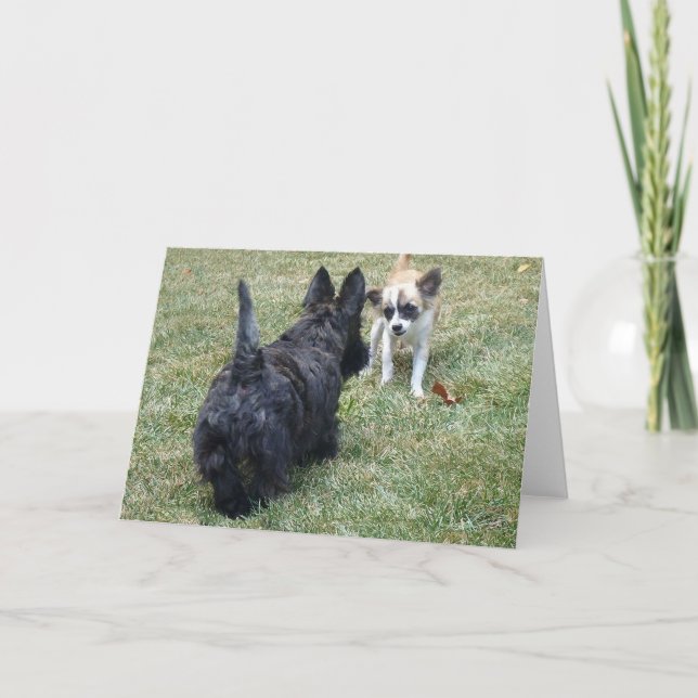 Tarjeta de Terrier Escocés Feliz y Amigo (Anverso)