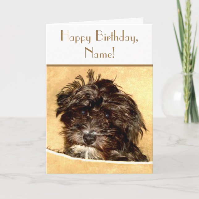 Tarjeta de texto Schnoodle Birthday Personalizable (Anverso)