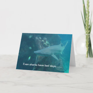 Tarjeta de tiburón