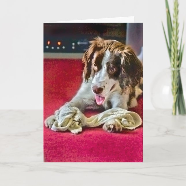 Tarjeta de tiempo de espera de reproducción (Anverso)