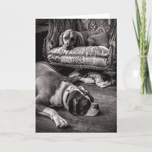 Tarjeta de tienda de perros (Anverso)