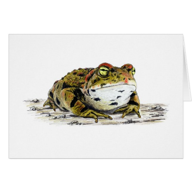 Tarjeta de toad occidental (Anverso (Horizontal))
