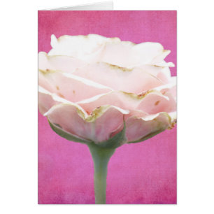 Tarjeta de todas las ocasiones de rosa texturizado